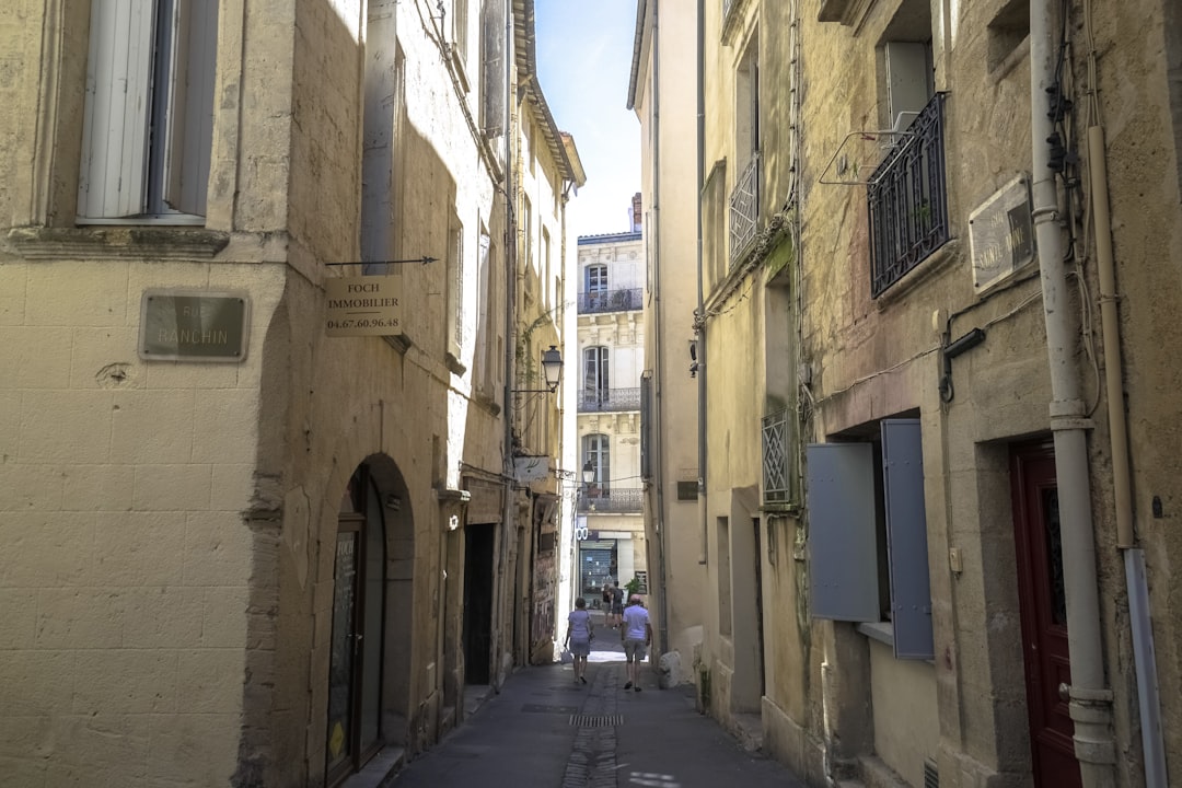 people walking on street between buildings during daytime