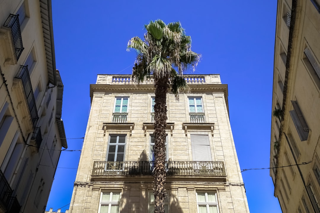 green palm tree in front of beige concrete building