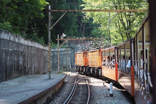 Optimal Seasons to Visit Toyama: Weather Guide & Monthly Recommendations