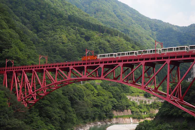 【2026年最新】富山一人旅完全ガイド｜2泊3日で白エビ・トロッコ・温泉を満喫する実践プラン