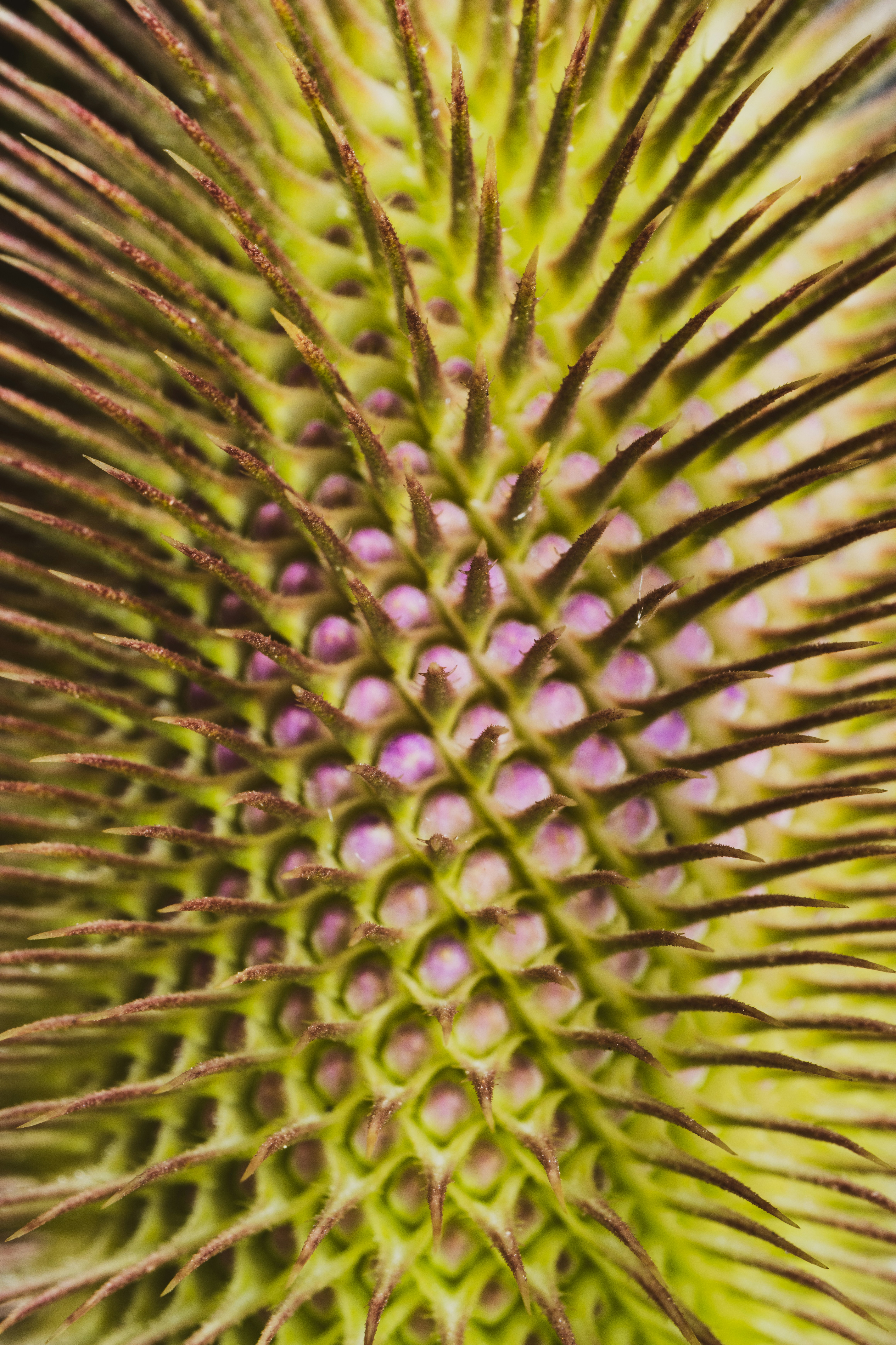 Photo by grievek1610begur