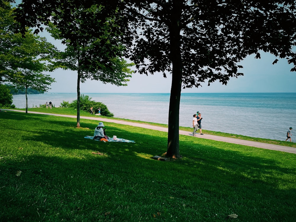 people sitting on green grass field near body of water during daytime