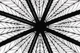 A geometric pattern resembling a mandala or a spoked wheel, composed of intricate, repetitive black lines radiating from a central point. The design includes symmetrical elements and fine details, giving it an artistic and abstract appearance.