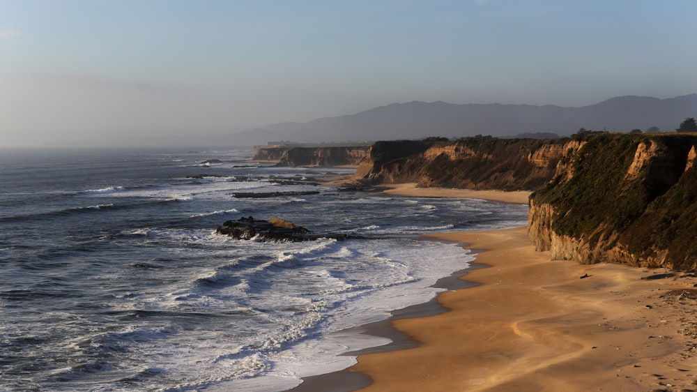 brown sand beach during daytime