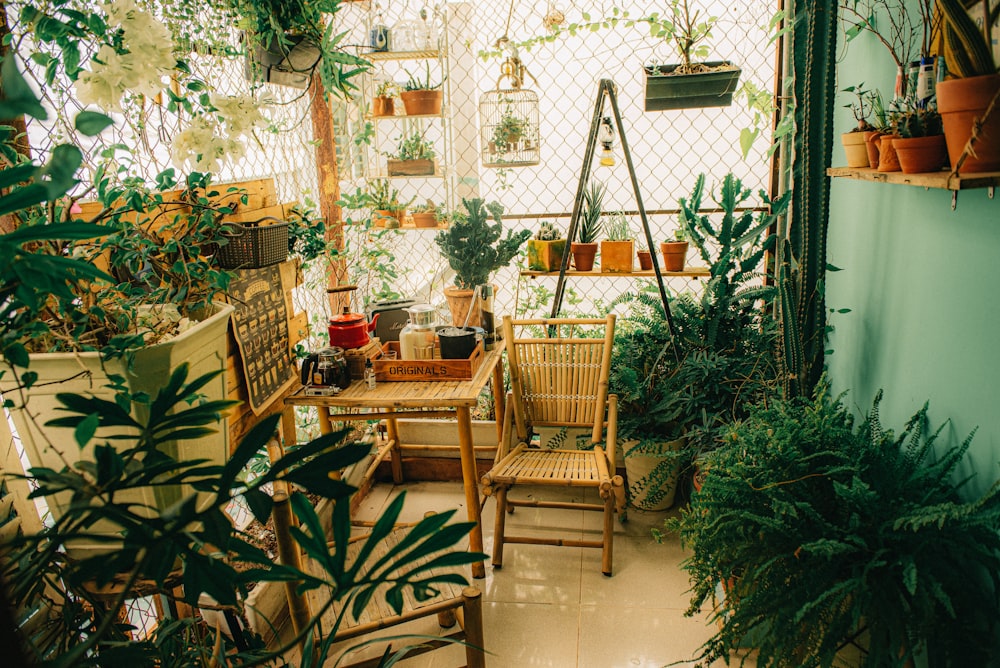 brown wooden chairs and table