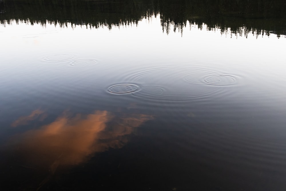 reflection of sun on water