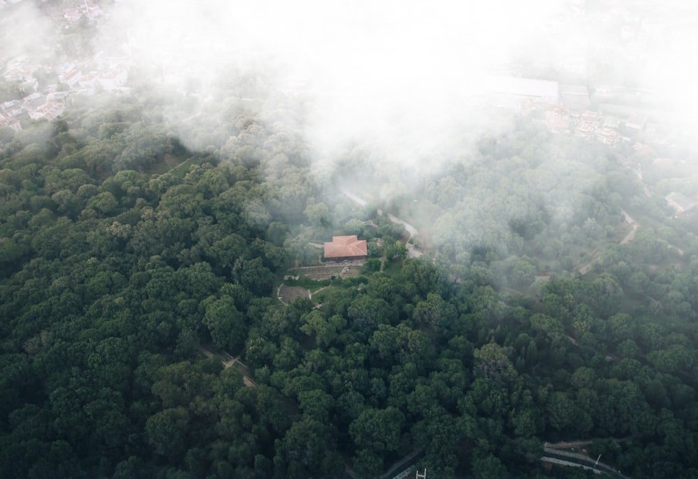 an aerial view of a house in the middle of a forest