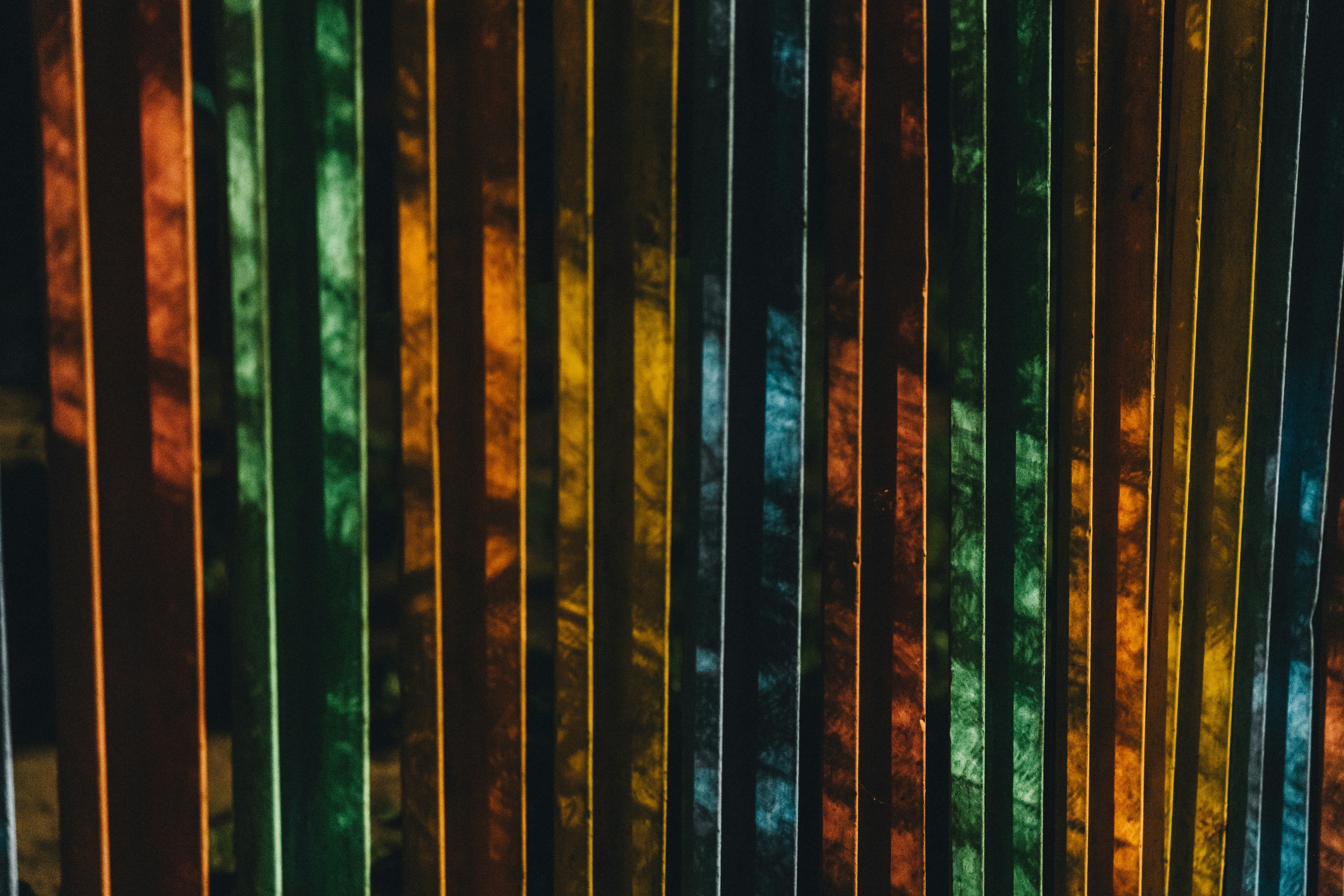 Photo by maksym_tymchyk