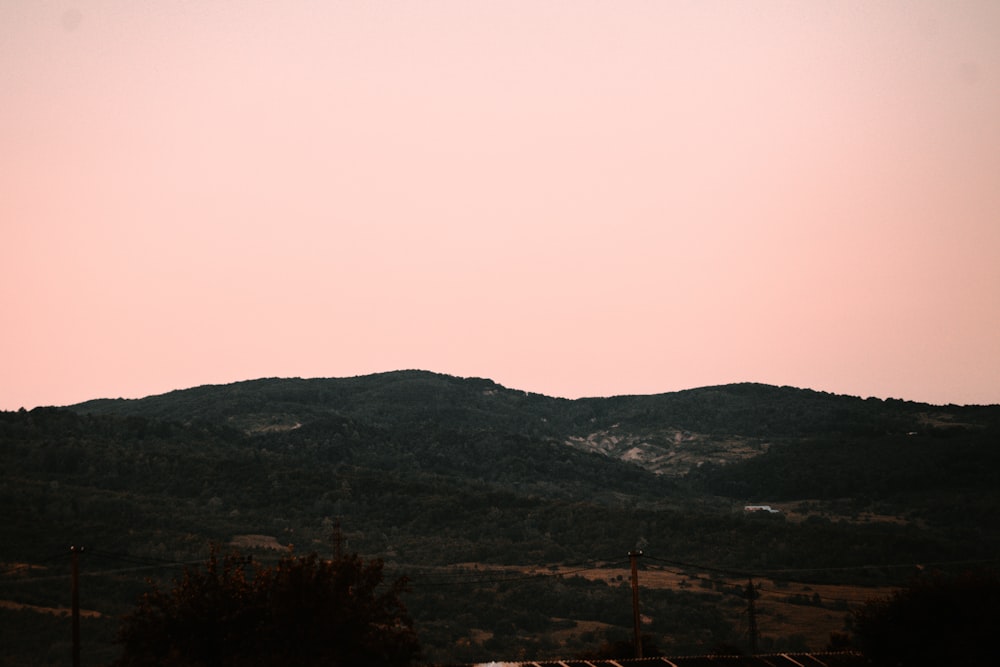 green trees on hill under white sky during daytime