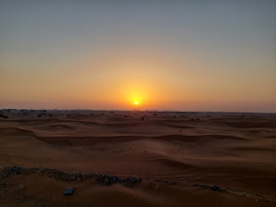 Warm sunset casting long shadows over sandy dunes and sparse vegetation.