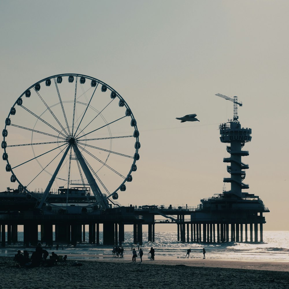 ferris wheel near body of water during daytime