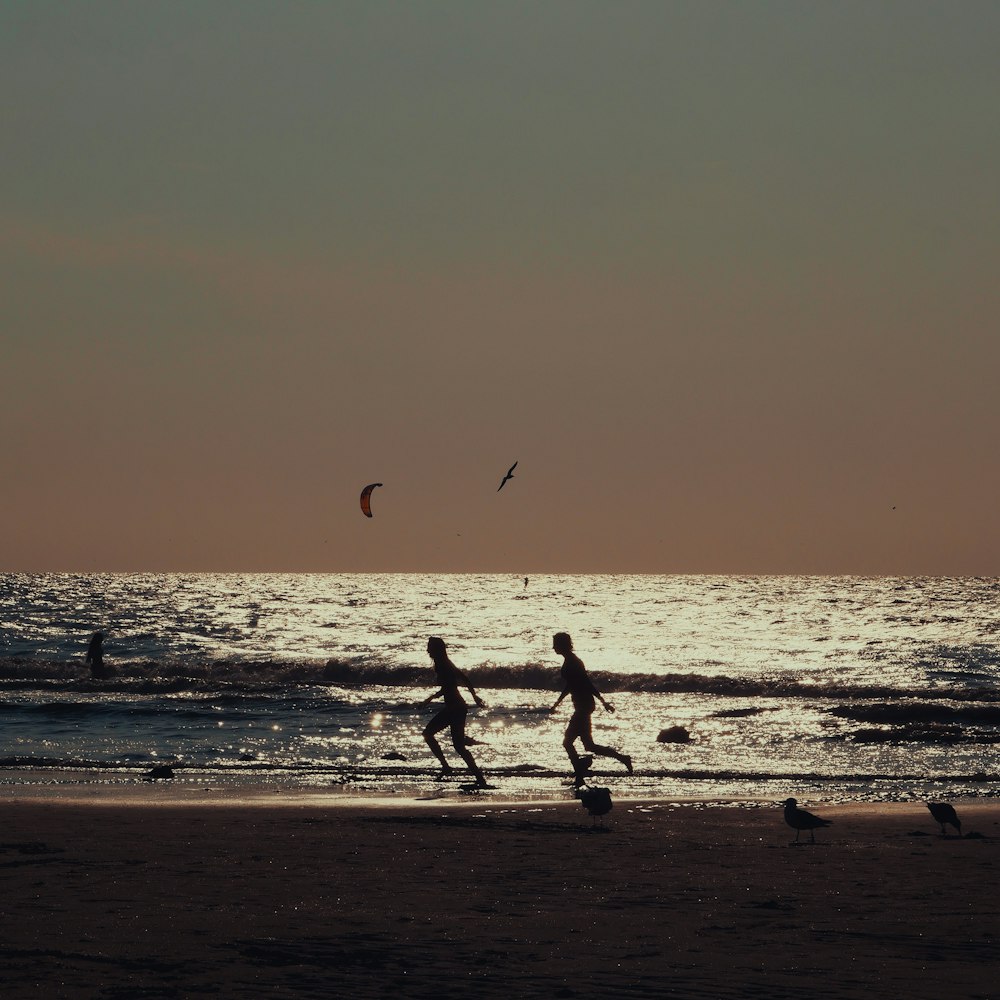 silhouette of people on beach during sunset