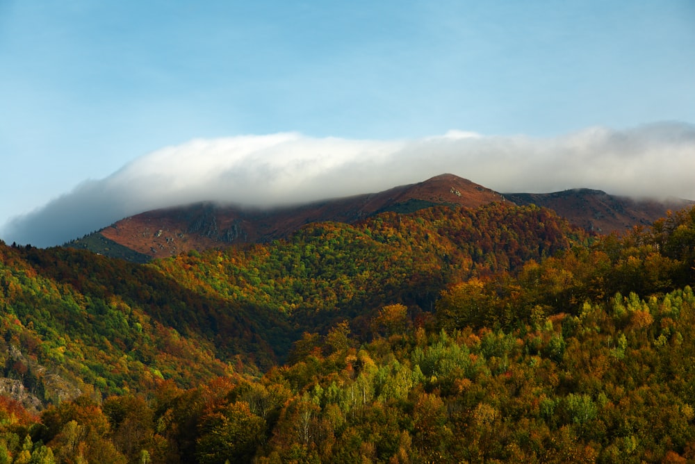 green and brown mountains under blue sky during daytime