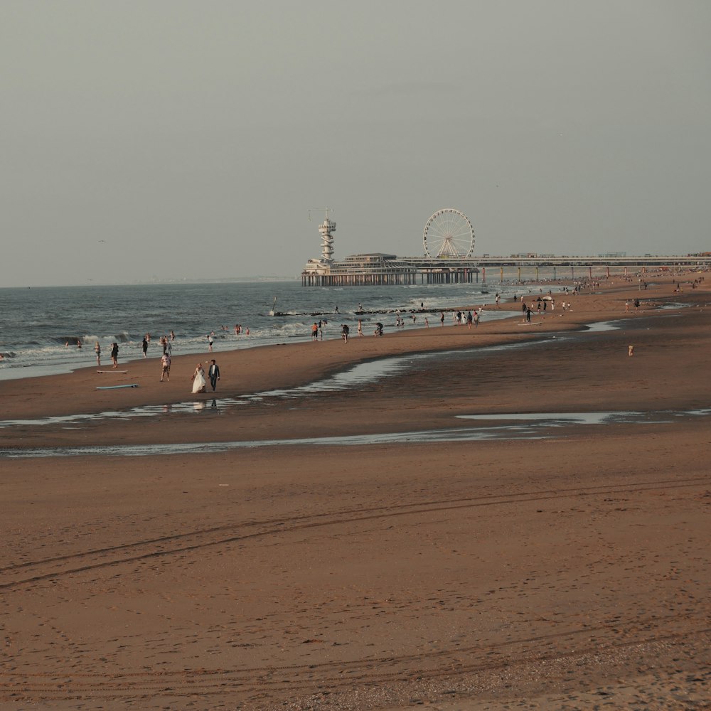 people walking on beach during daytime
