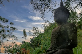 A serene Buddha statue is surrounded by lush green foliage. The statue is in a meditative posture, with its eyes closed, and is partially covered in moss. The background shows a clear sky with wispy clouds and hints of an orange sunset.