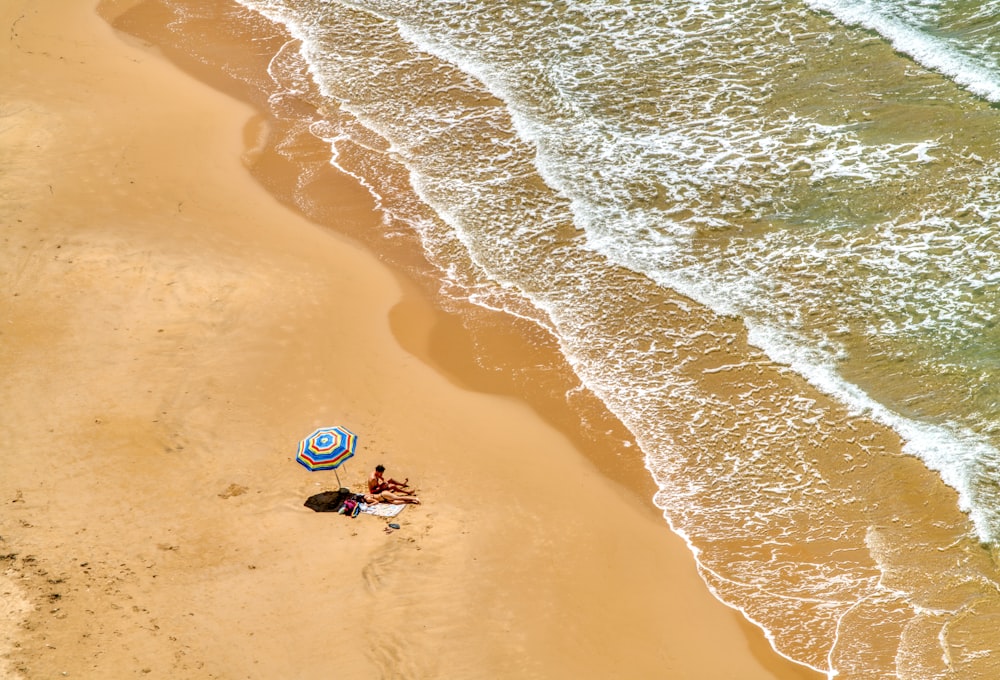 青と白のウェットスーツを着た人が昼間にビーチで青と白のサーフボードに乗っている