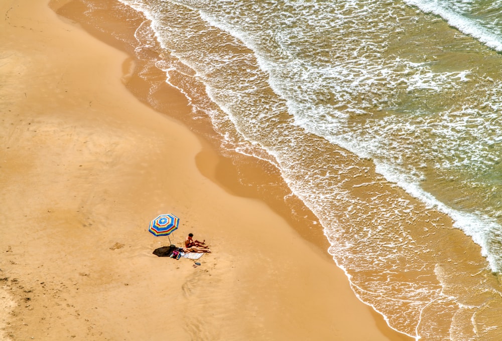 person in blue and white wetsuit riding blue and white surfboard on beach during daytime