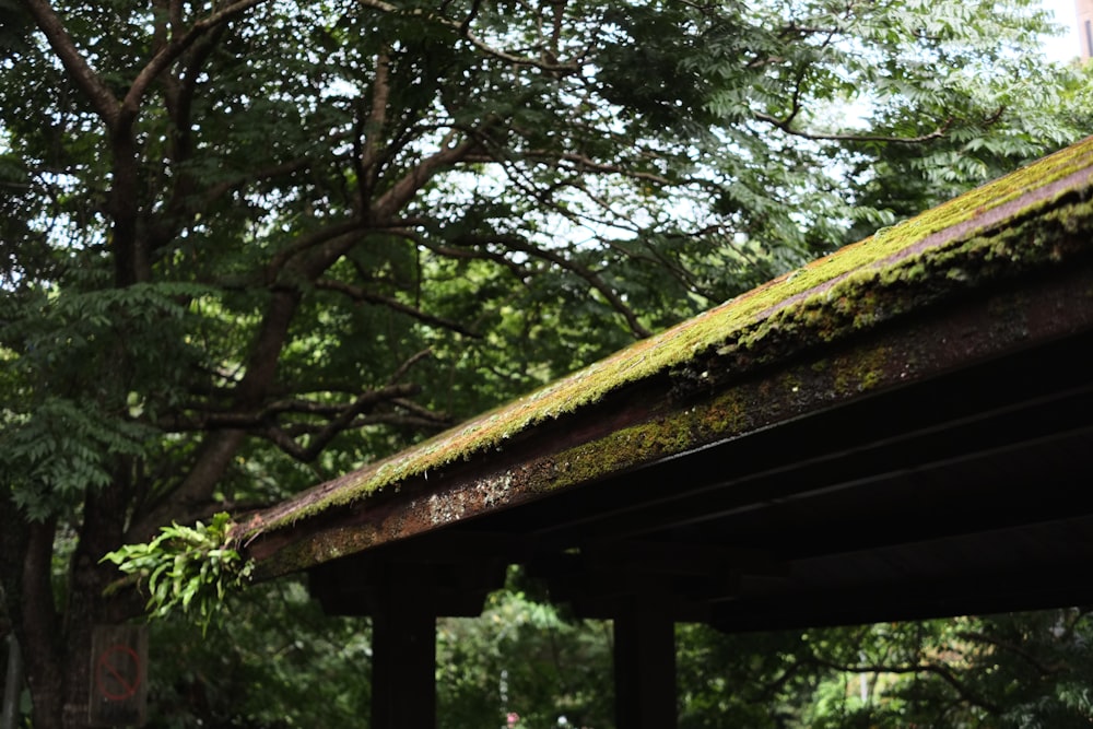 日中の緑の木々の近くの茶色の木製の屋根