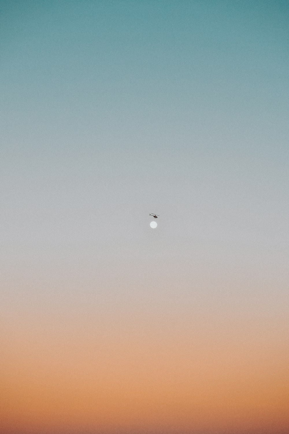 black bird flying over the sky during daytime