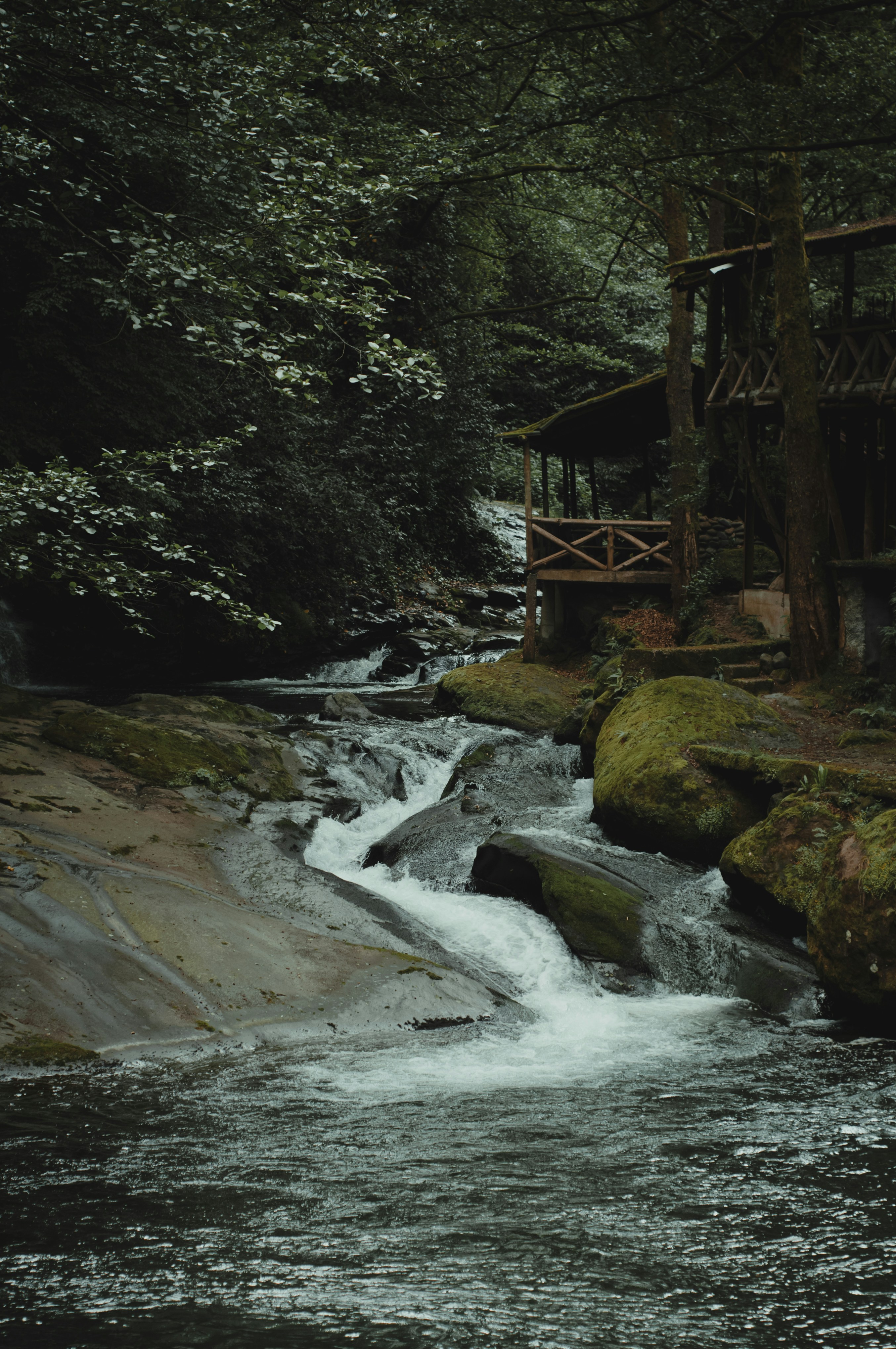 Photo by bullettrainnnnn