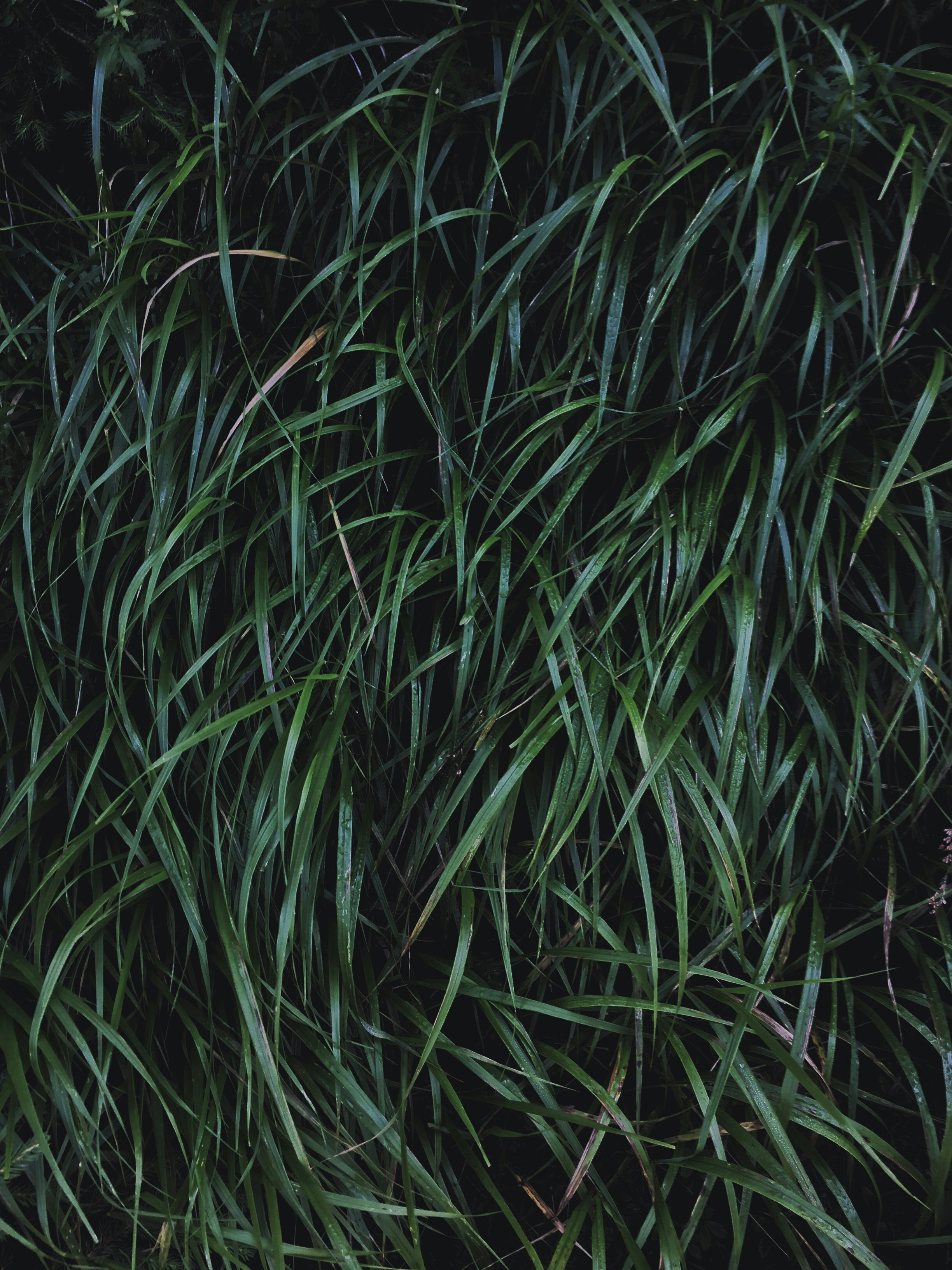 Photo by bullettrainnnnn