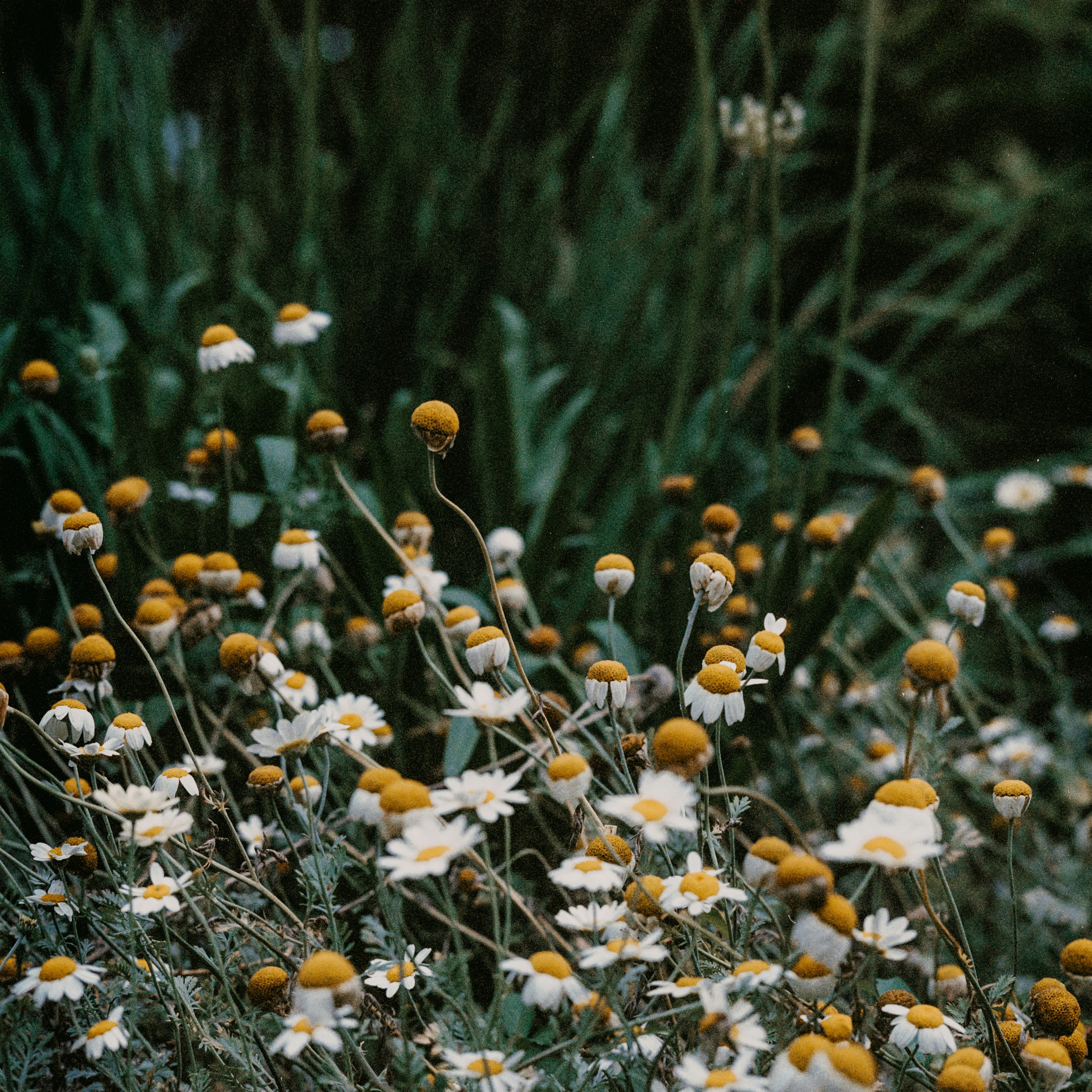 Photo by anniespratt