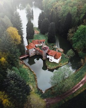 brown and white house on river