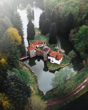 brown and white house on river