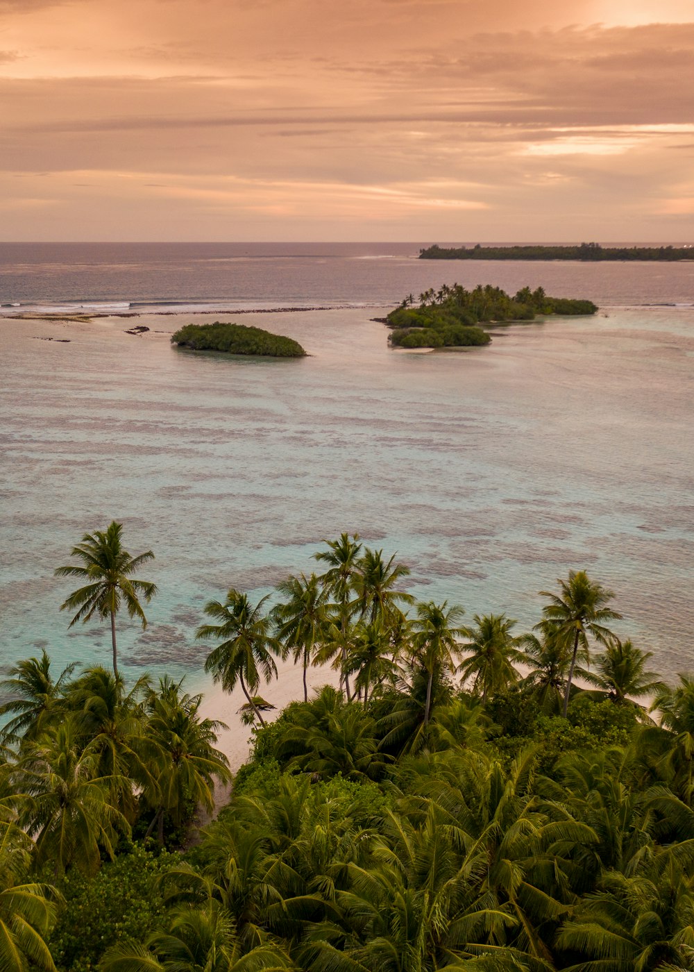 green palm trees on seashore during daytime