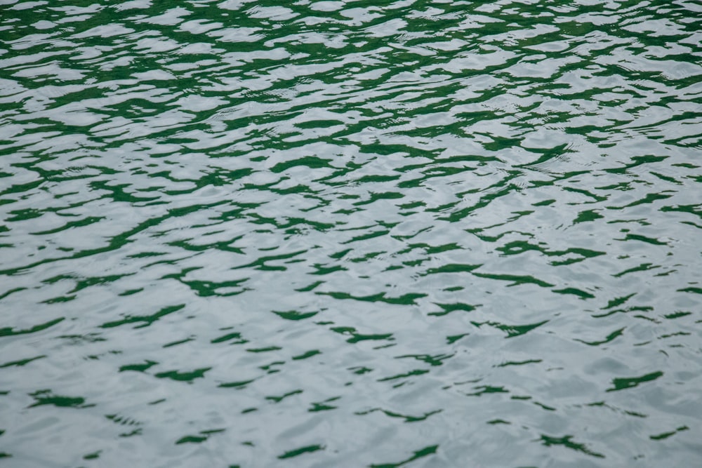 green body of water during daytime