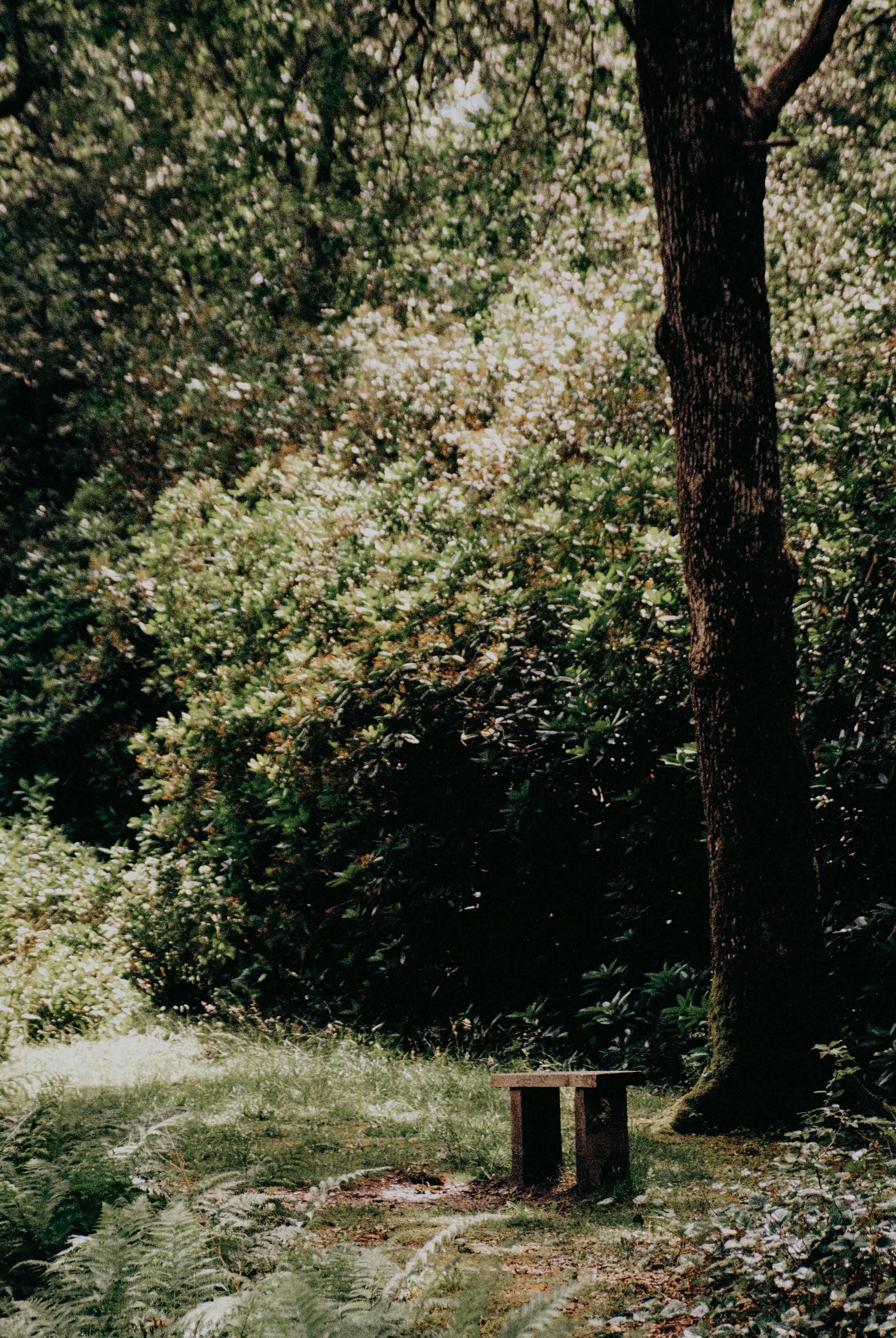 Photo by anniespratt