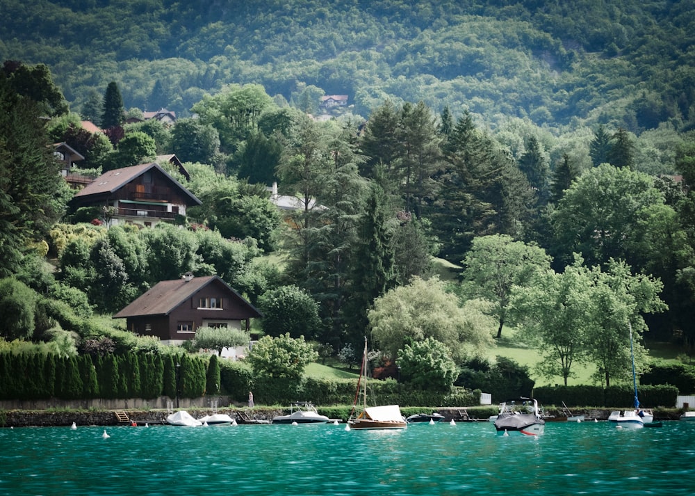 green trees near body of water during daytime