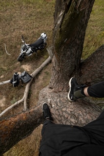 Adventure motorcycle gear hanging on a tree branch near a mountain campsite.