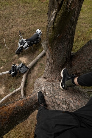 Adventure motorcycle gear hanging on a tree branch near a mountain campsite.