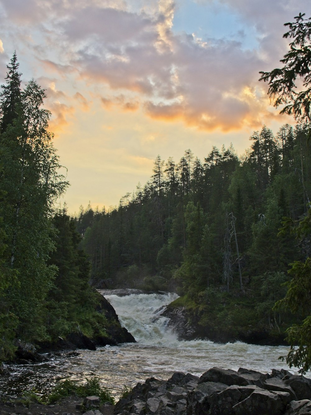 green trees beside river during sunset