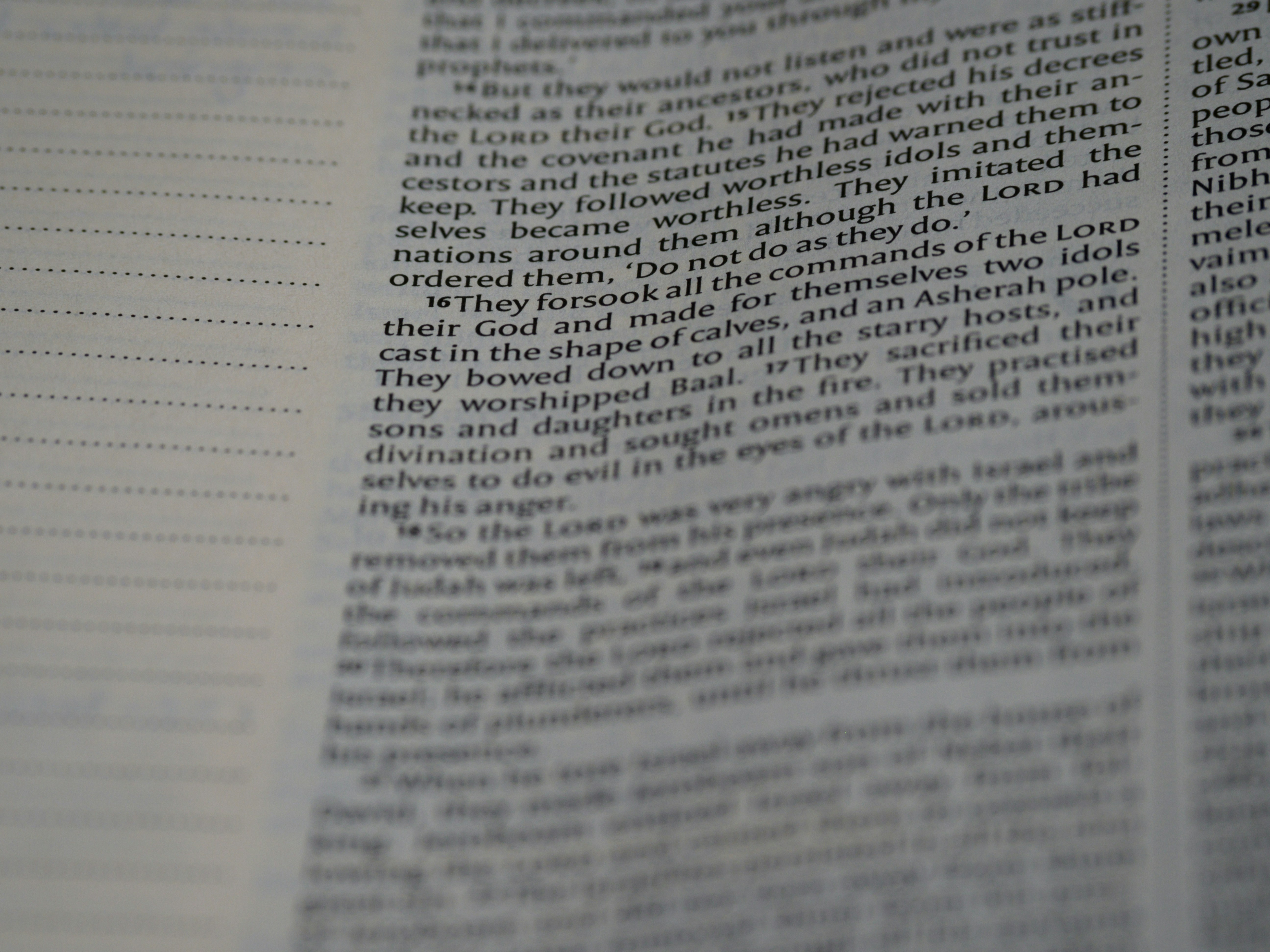 Photo by brett_jordan