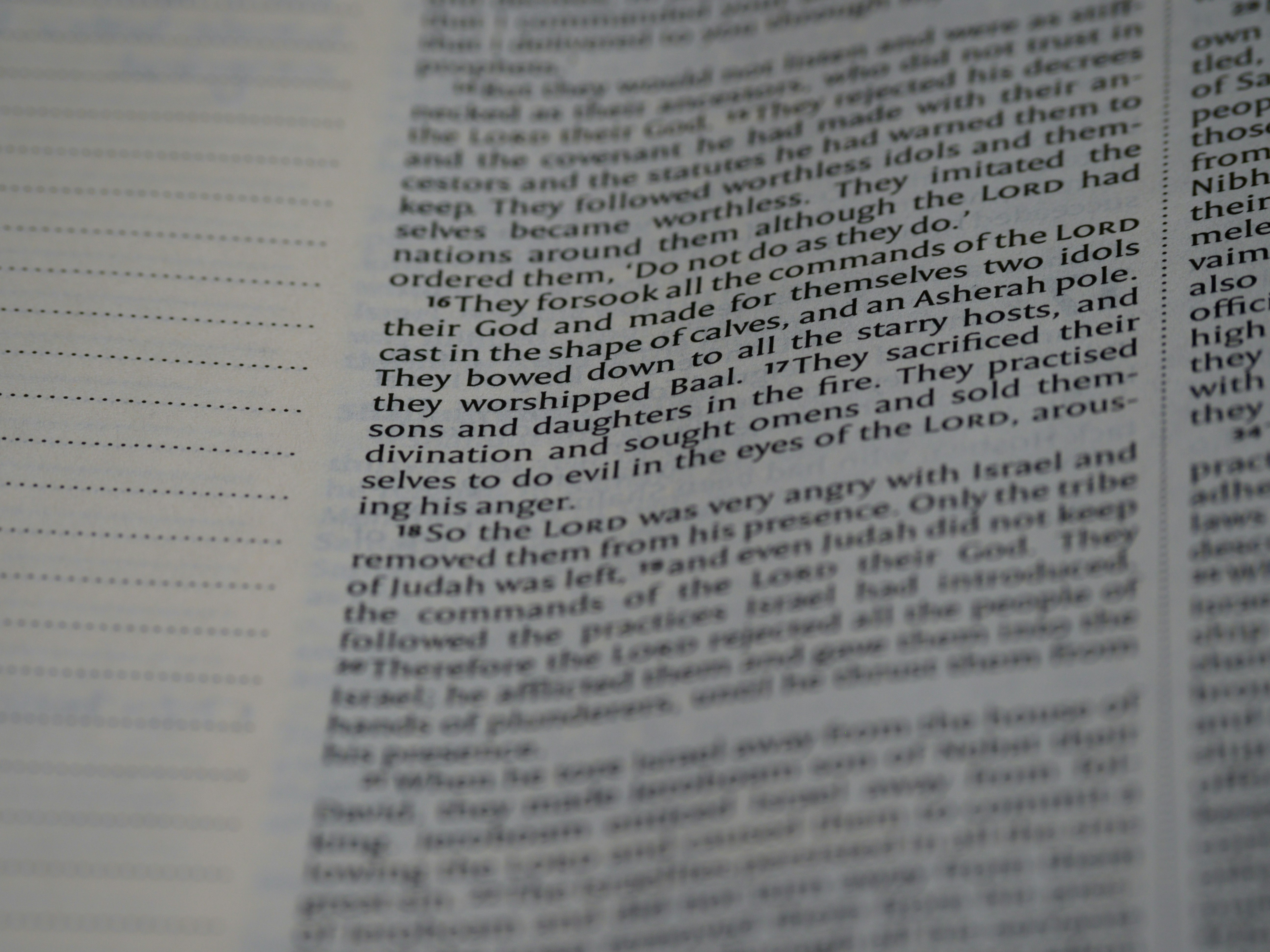 Photo by brett_jordan