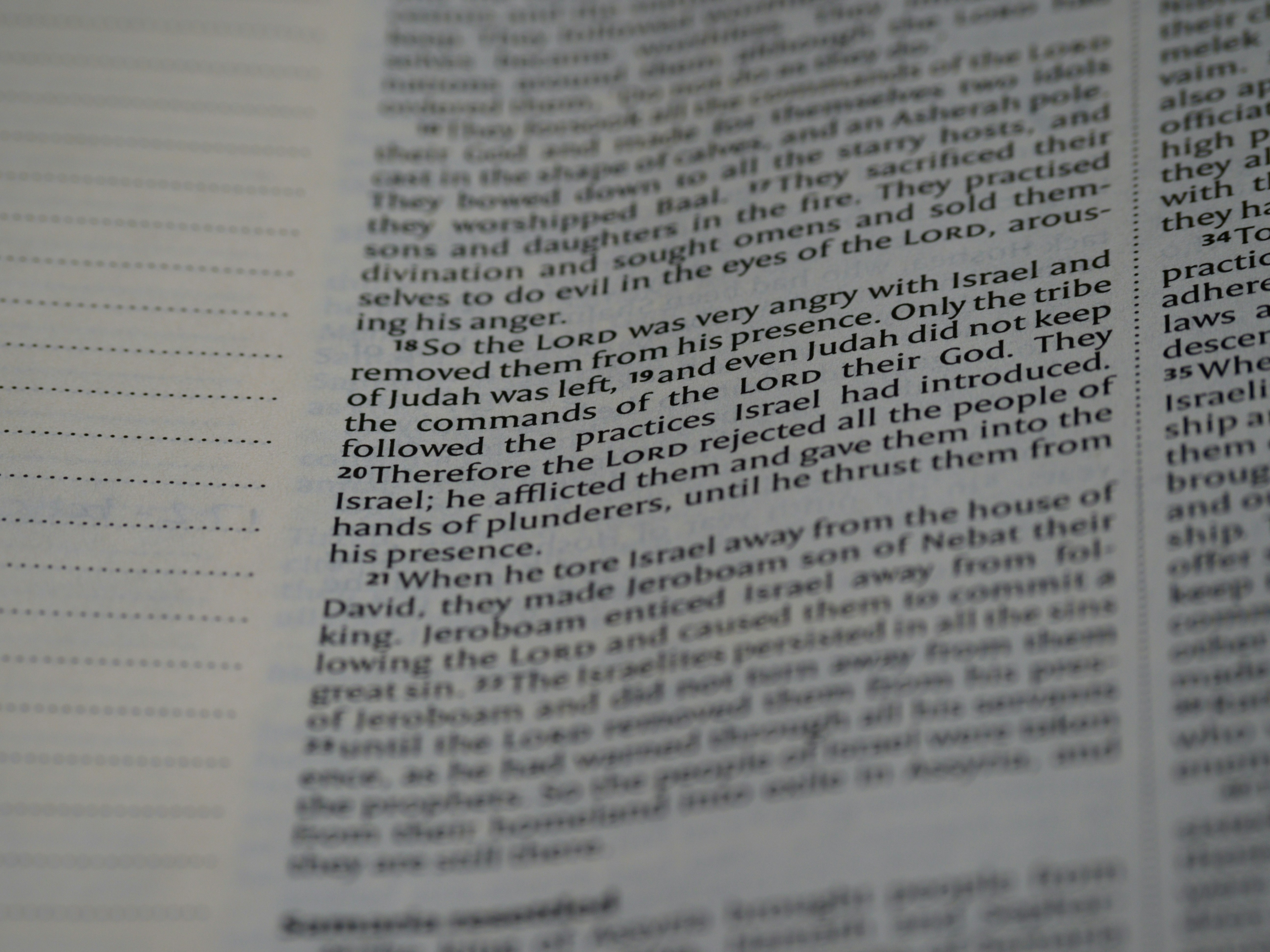 Photo by brett_jordan