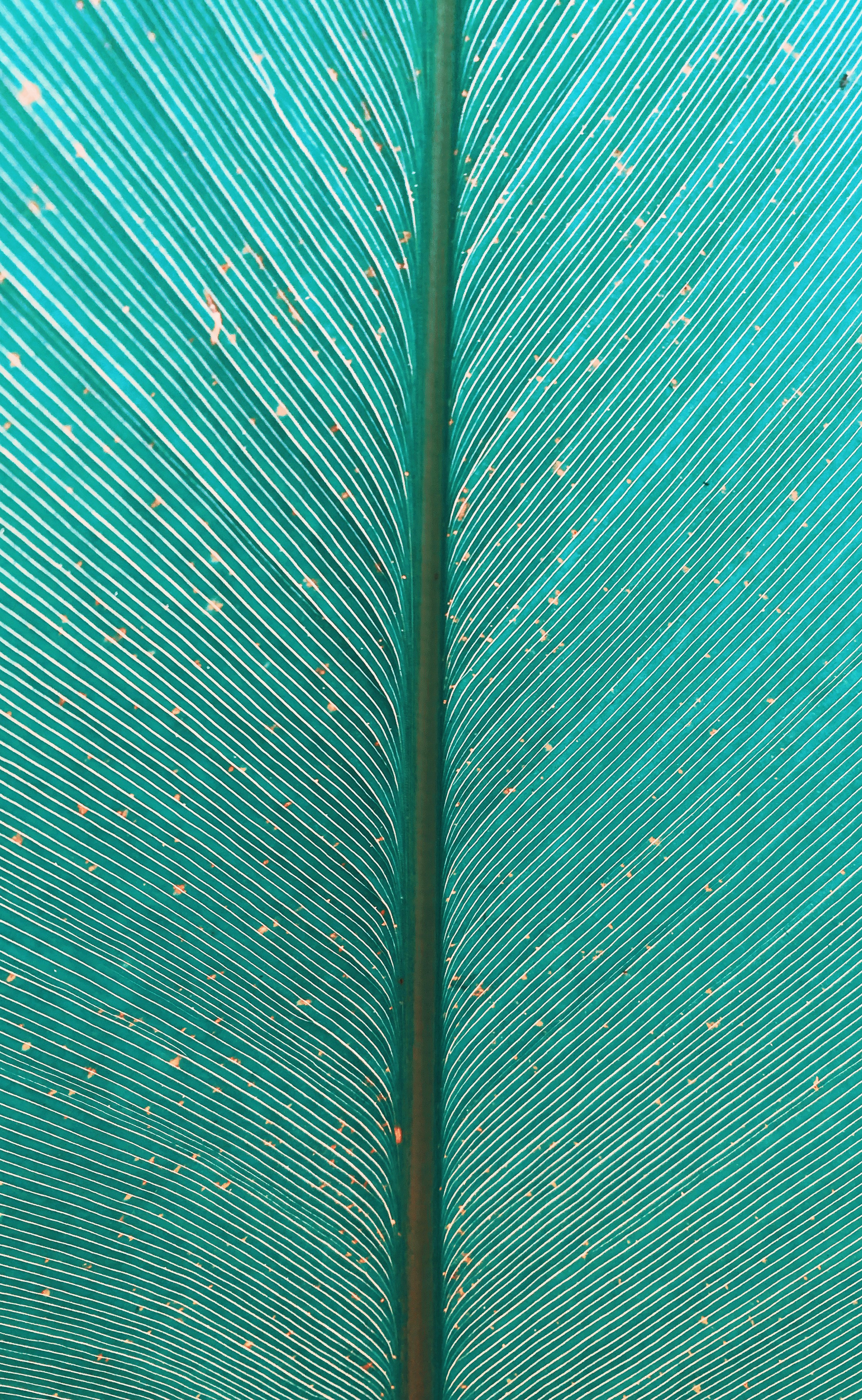 green and black metal rod