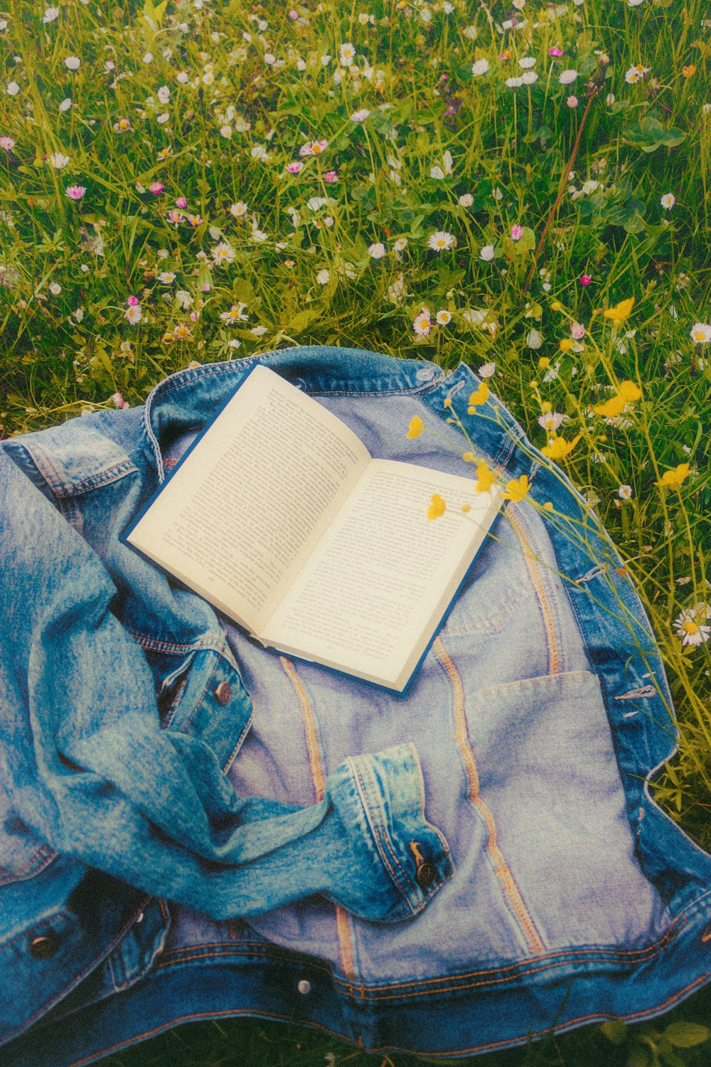 Libro blanco sobre jeans de mezclilla azul