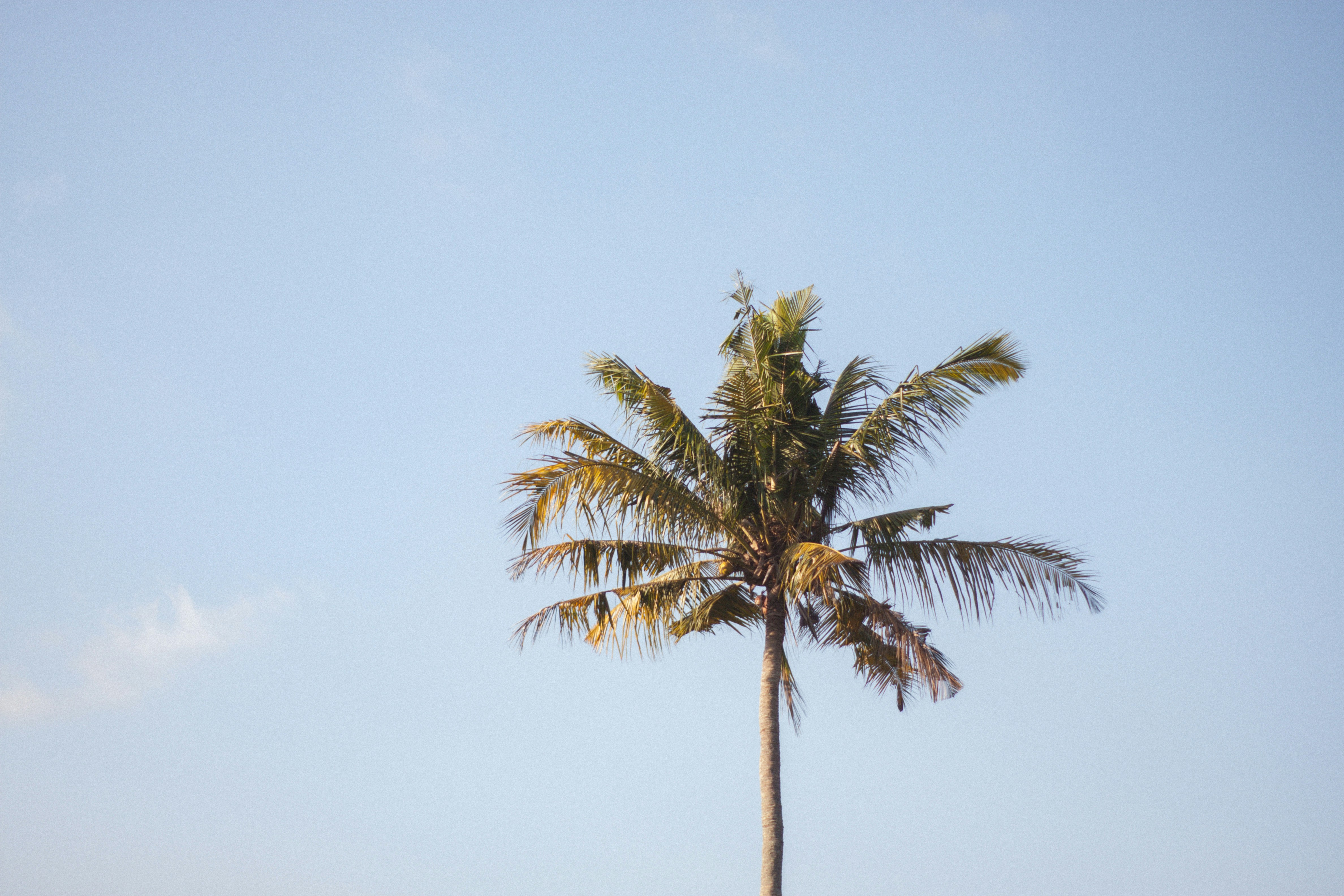 Photo by mrif_photos