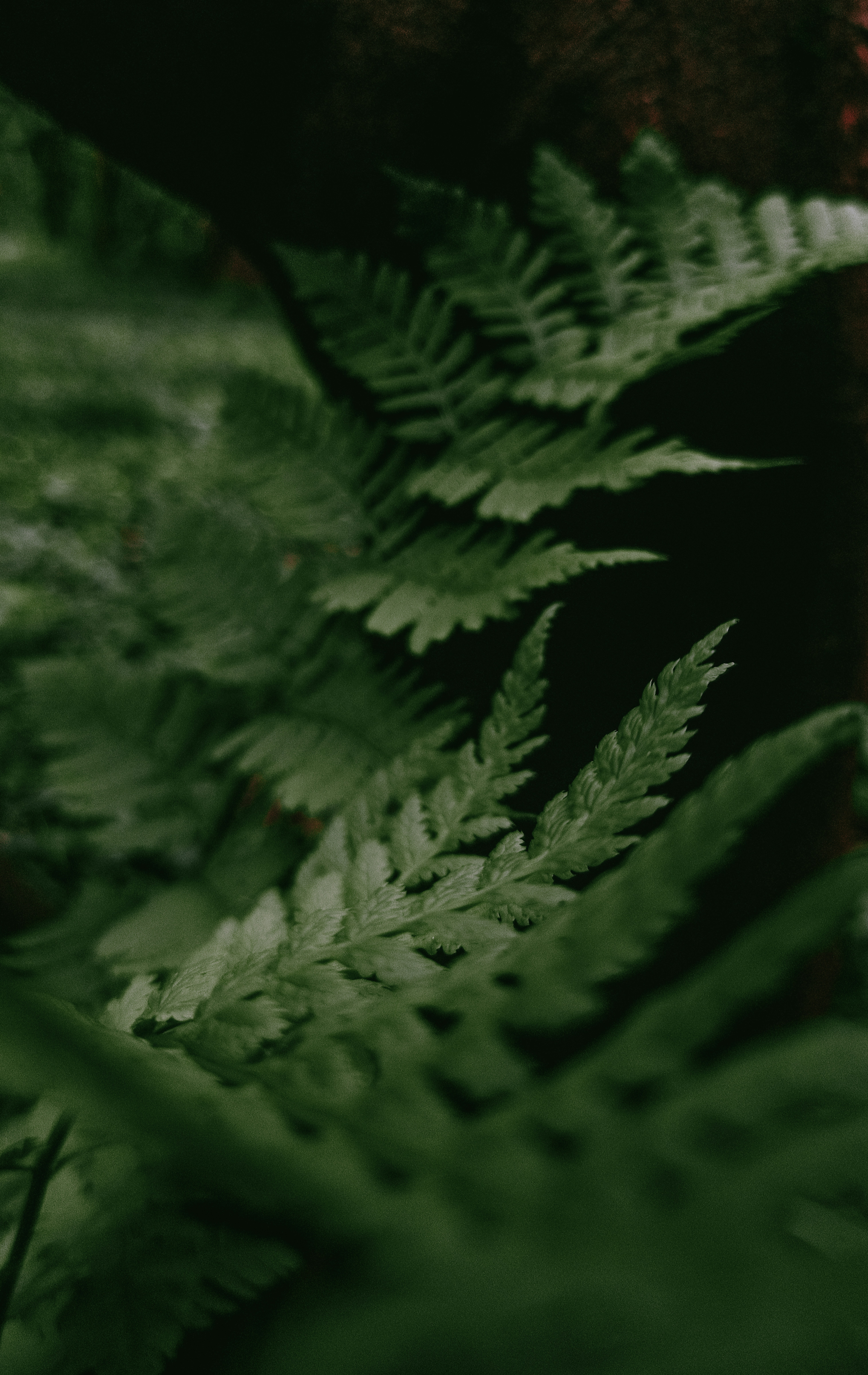 Photo by _tima_chant_