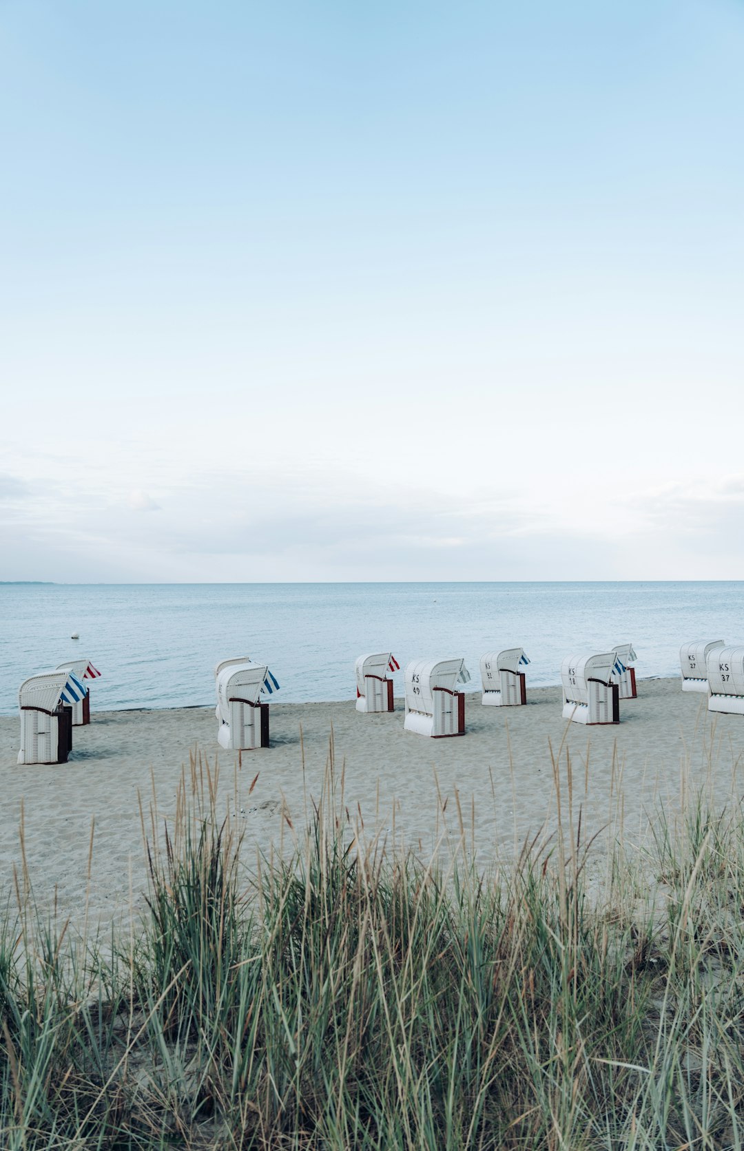 people standing on beach during daytime