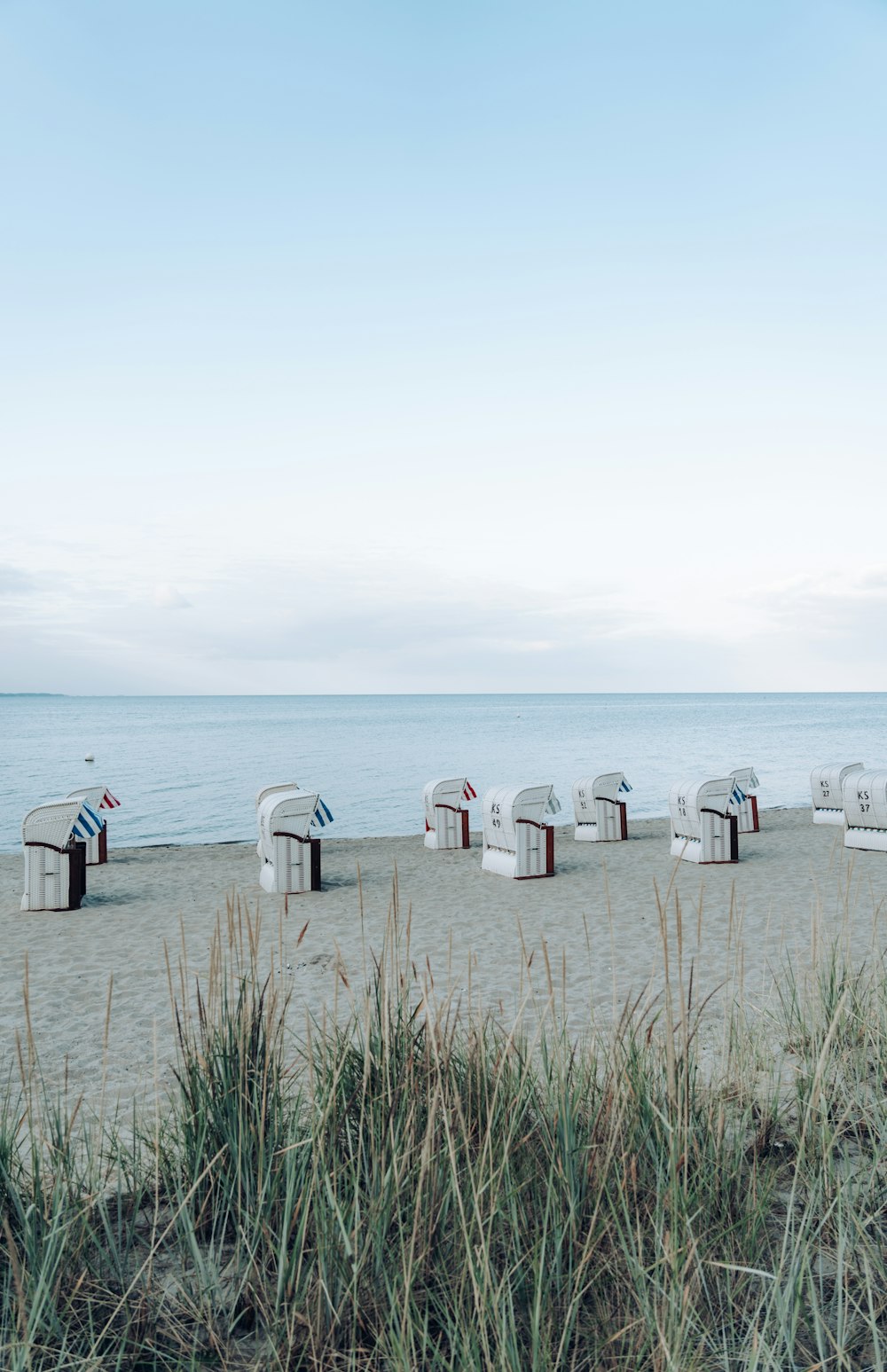 people standing on beach during daytime