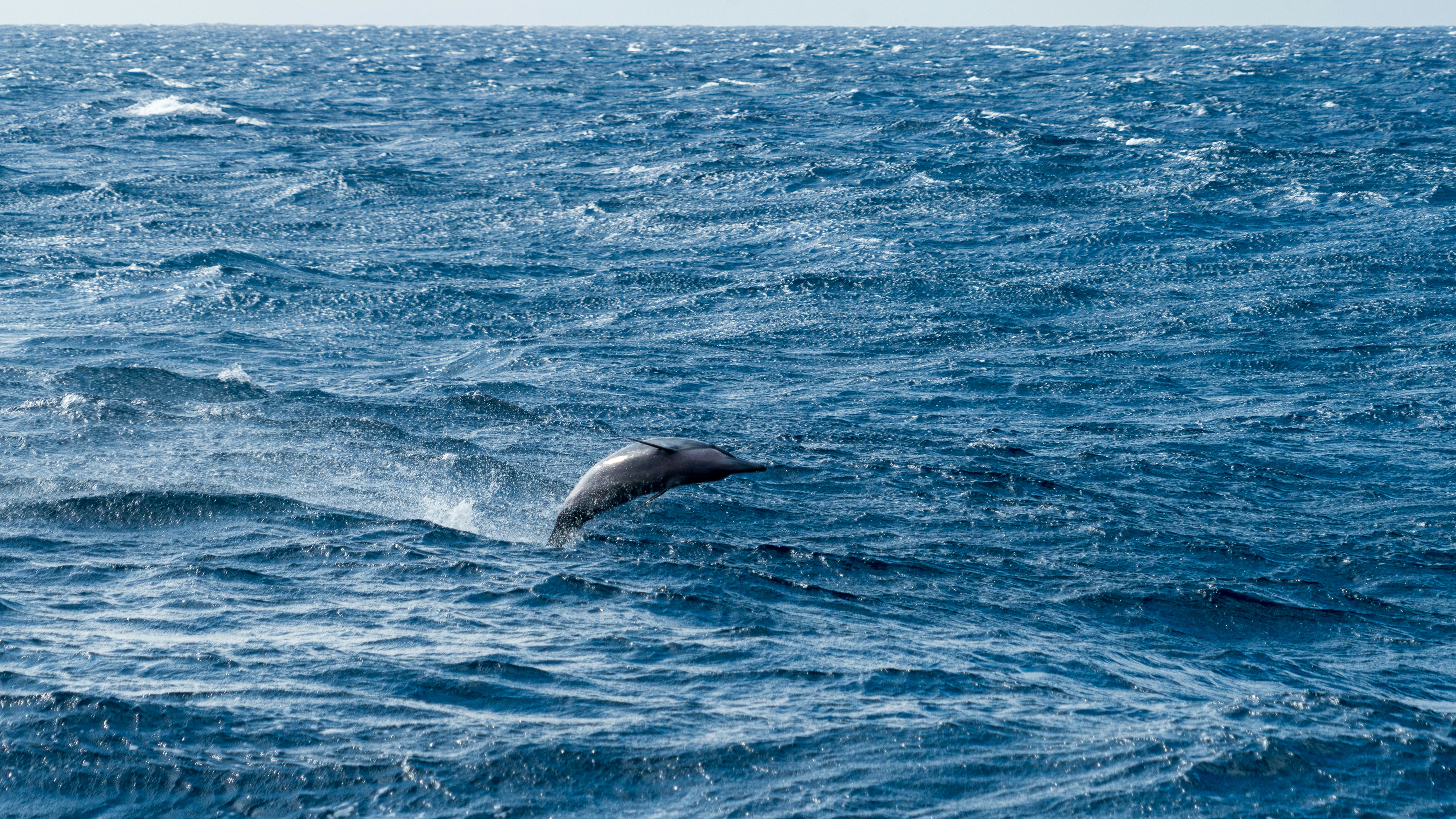 blue ocean water during daytime