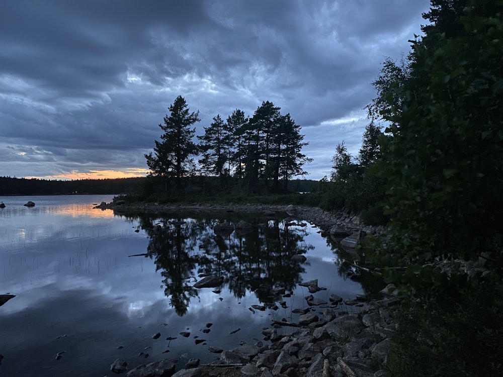 arbres verts au bord d’un plan d’eau sous un ciel nuageux pendant la journée