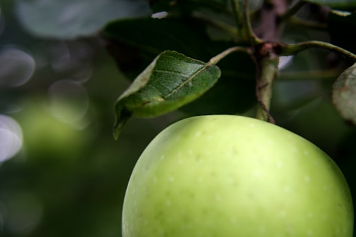 Close-up of a person holding a fresh green apple with a blurred background of a cozy kitchen.