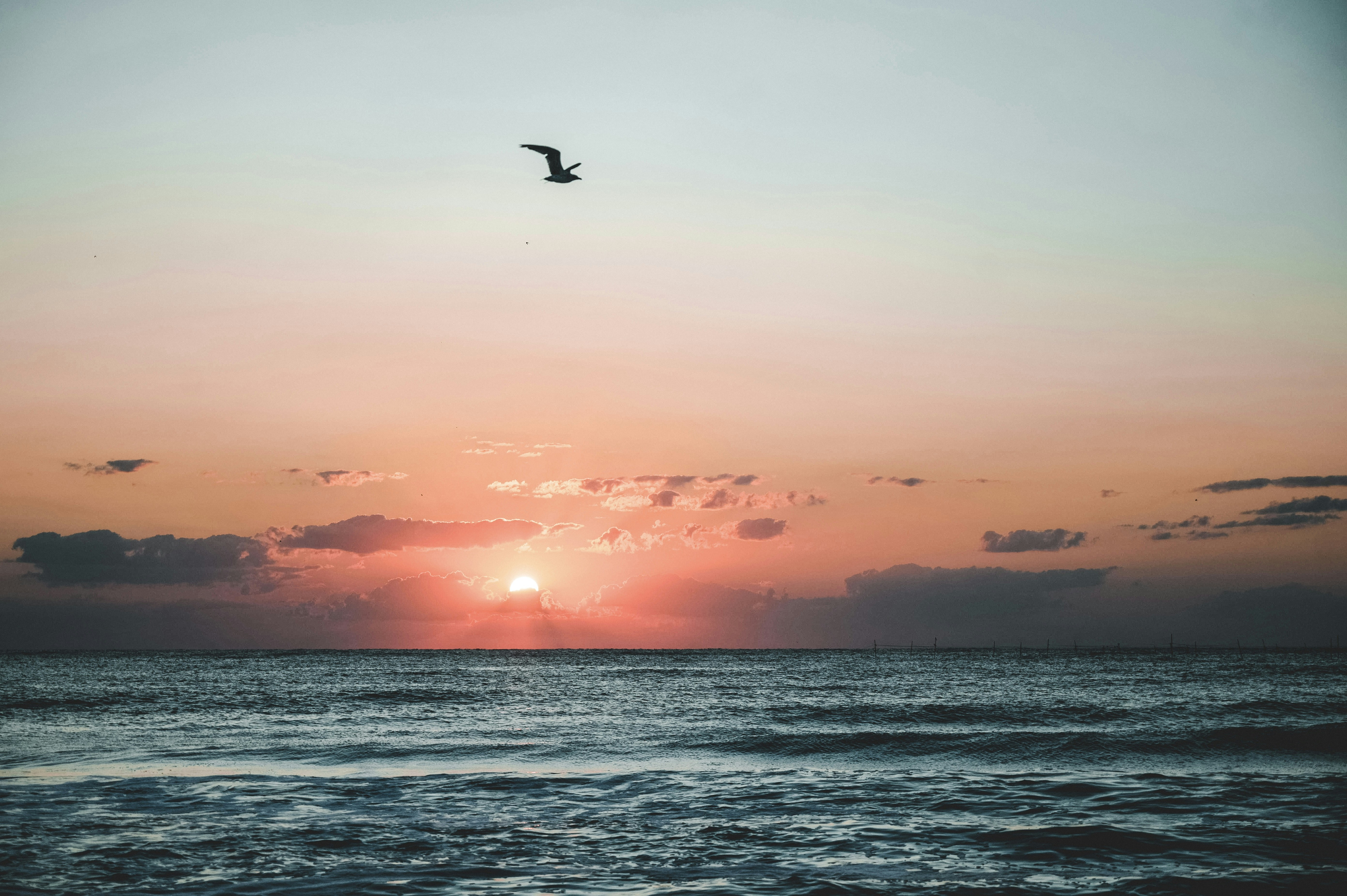 Photo by tamas_tuzeskatai