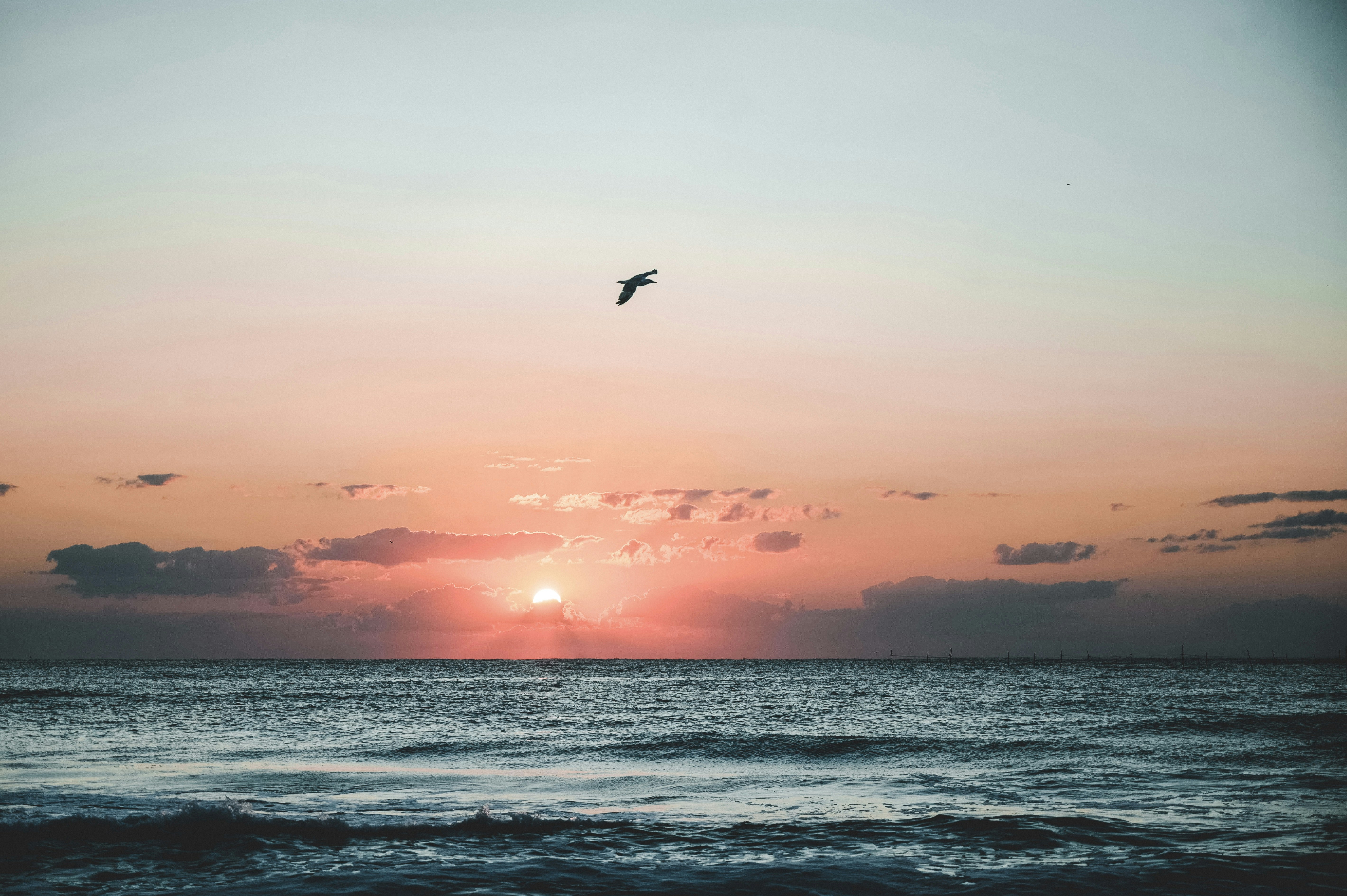 Photo by tamas_tuzeskatai