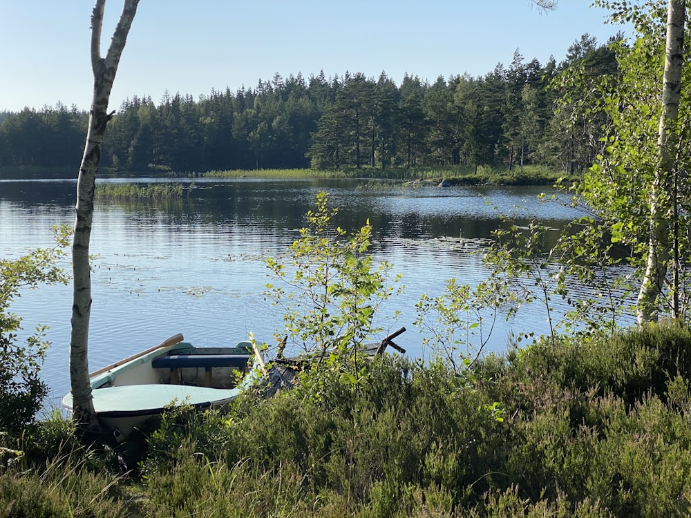 white boat on lake during daytime